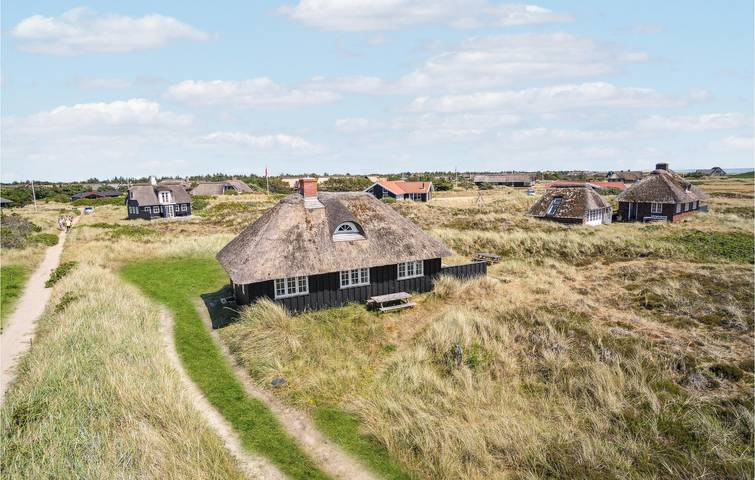 Ferienhaus für 5 Personen, mit Garten und Terrasse, mit Haustier in Blavand - 2