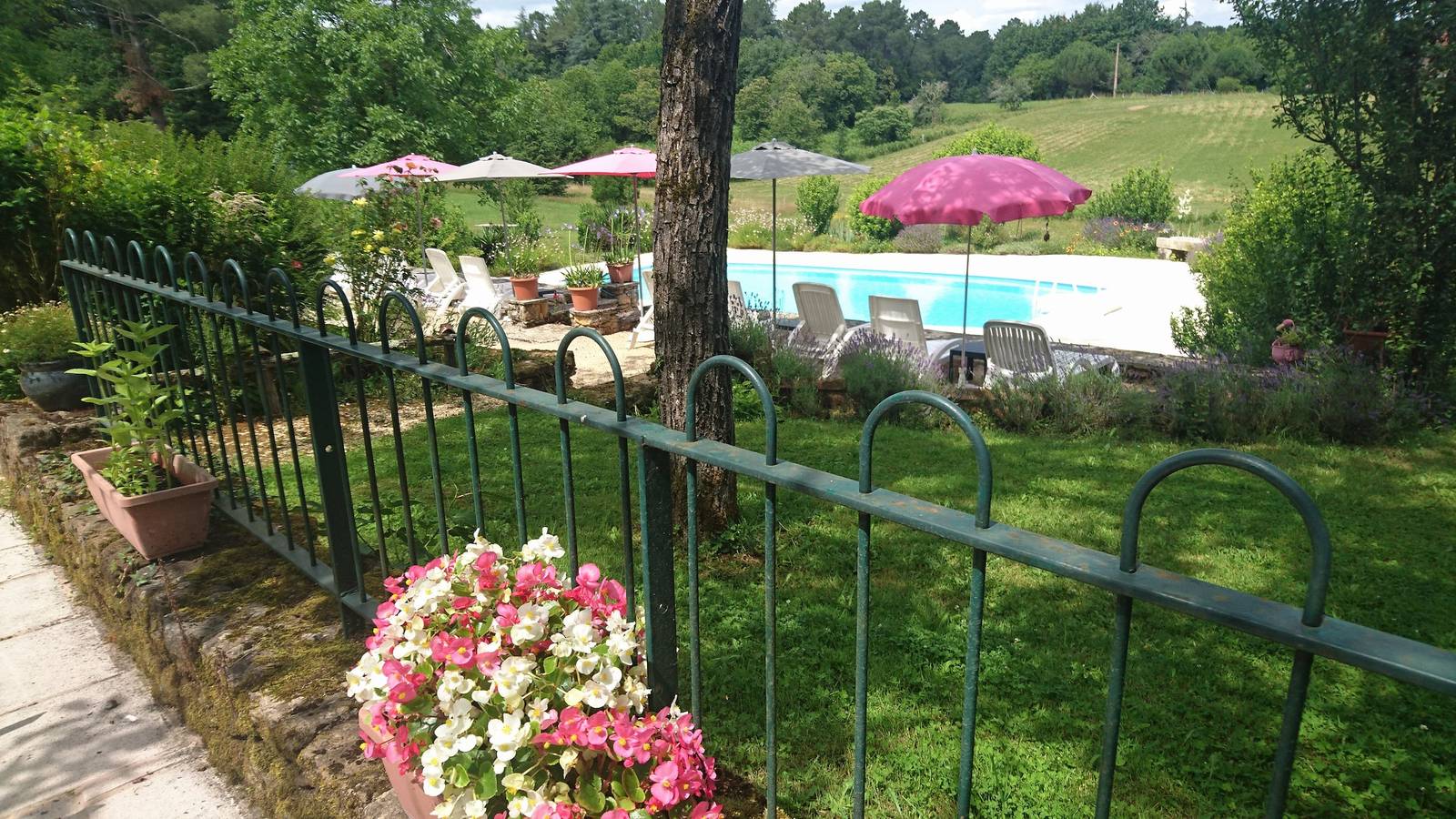La Libellule a Les Leroux in Frayssinet-le-Gélat, Quercy