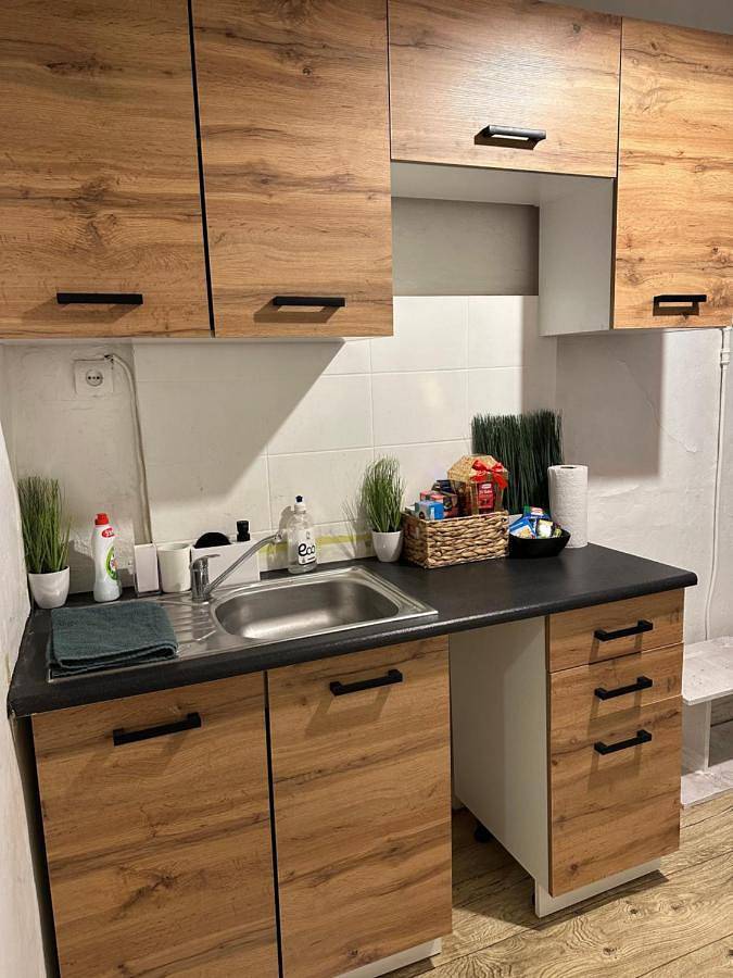 Vakantiewoning voor 4 personen, met huisdier in Riga