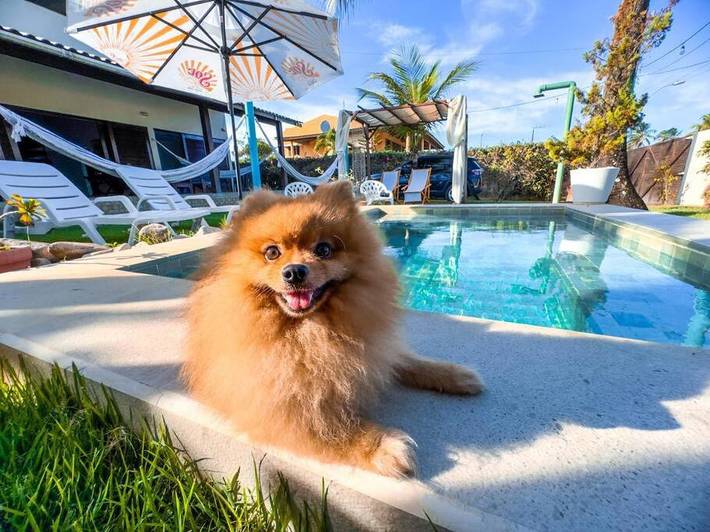 Casas e apartamentos de temporada para 8 pessoas, com vista e jardim e ainda piscina, com animais de estimação na Enseada dos Corais