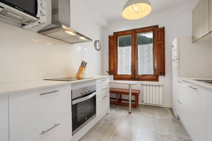 Gîte pour 6 personnes, avec jardin et vue, animaux acceptés à Camprodon - 3