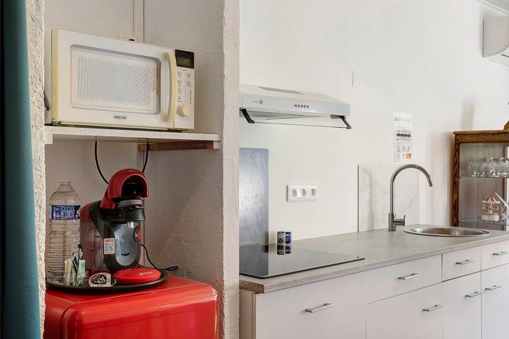 Hel lejlighed, "La Roussette" Apartment with Wi-Fi and Air Conditioning in Prats-de-Mollo-la-Preste, Céret Området