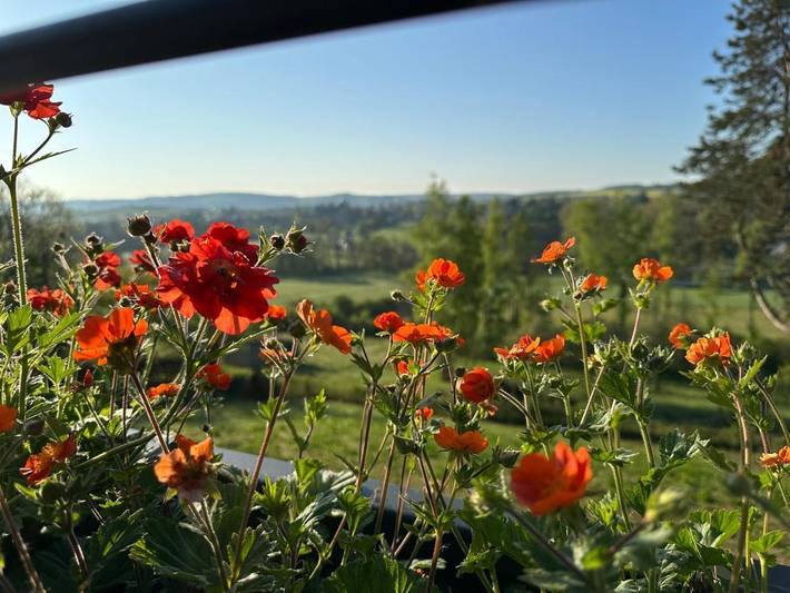 Location de vacances pour 12 personnes, avec sauna ainsi que jardin et vue à Wellin - 4
