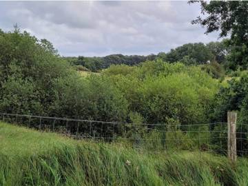 Vacation Rental for 4 Guests in Vejen, Picture 3