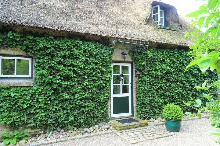 Cottage für 4 Personen, mit Terrasse und Garten in Silberstedt - 3