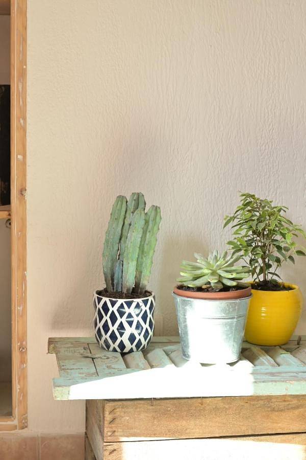 Gîte pour 2 personnes, avec vue à Breil-sur-Roya - 4