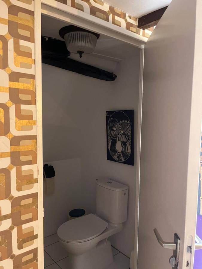 Chambre d’hôte pour 4 personnes, avec vue et jardin, animaux acceptés à Alkmaar - 2