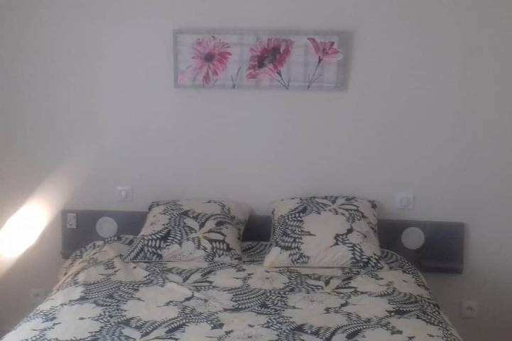 Gîte pour 6 personnes, avec terrasse et jardin à Vineuil - 4