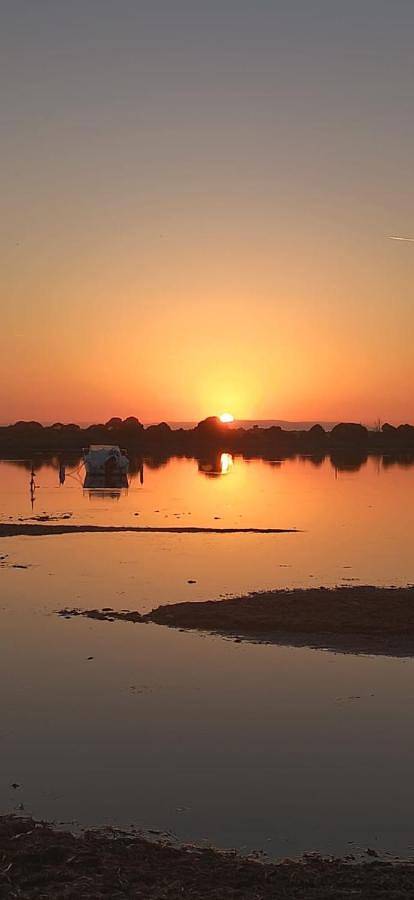 Mobil Home 4 personnes tout confort Juillet & Août Bord étang de Thau Marseillan in Marseillan, Côte méditerranéenne (France)