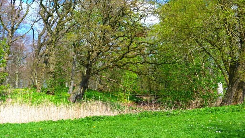 Ferienhaus für 7 Personen, mit Terrasse in Højer - 2