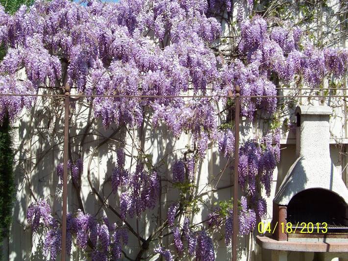 Location de vacances pour 4 personnes, avec piscine ainsi que terrasse et jardin dans le Vaucluse - 4
