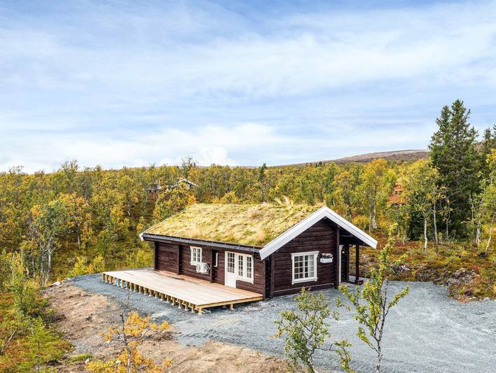 8 Personen Ferienhaus in Ålen in Holtålen