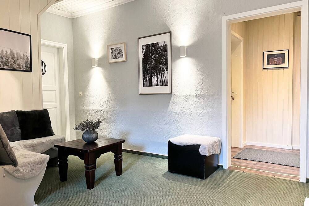 Ganze Wohnung, Studio mit Küchenzeile in Hahnenklee, Goslar