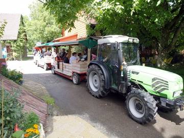 Ferienhaus für 8 Personen in Überlingen, Region Bodensee-Oberschwaben, Bild 4