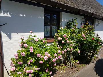 Ferienhaus für 6 Personen in Stinteck, Westerdeichstrich, Bild 1