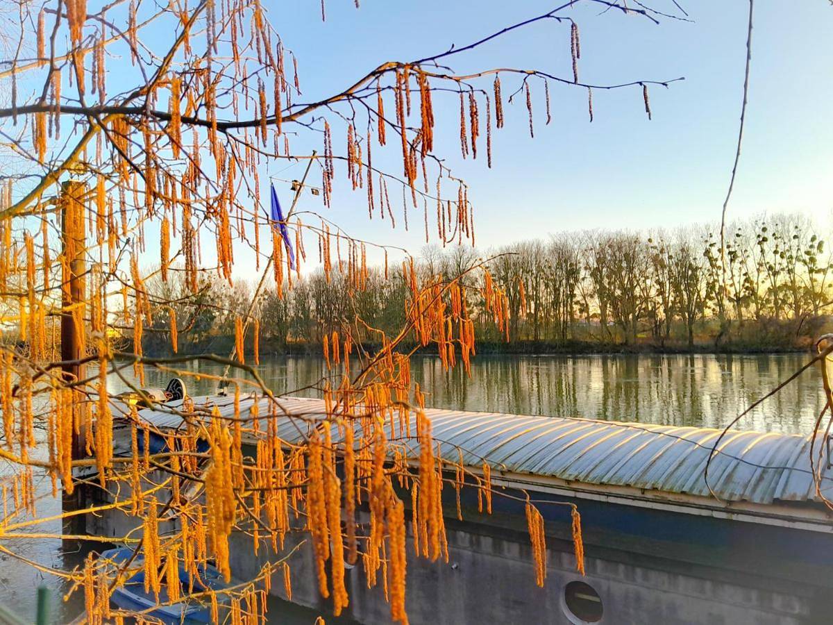 Appartement entier, Péniche sur la Seine avec terrasse 6 pers - Ja-De in Herblay-sur-Seine, Val-d'Oise