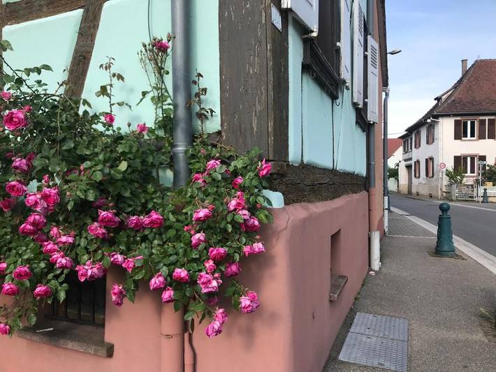 Location de vacances pour 4 personnes, avec sauna ainsi que jacuzzi et terrasse à Scherwiller - 4