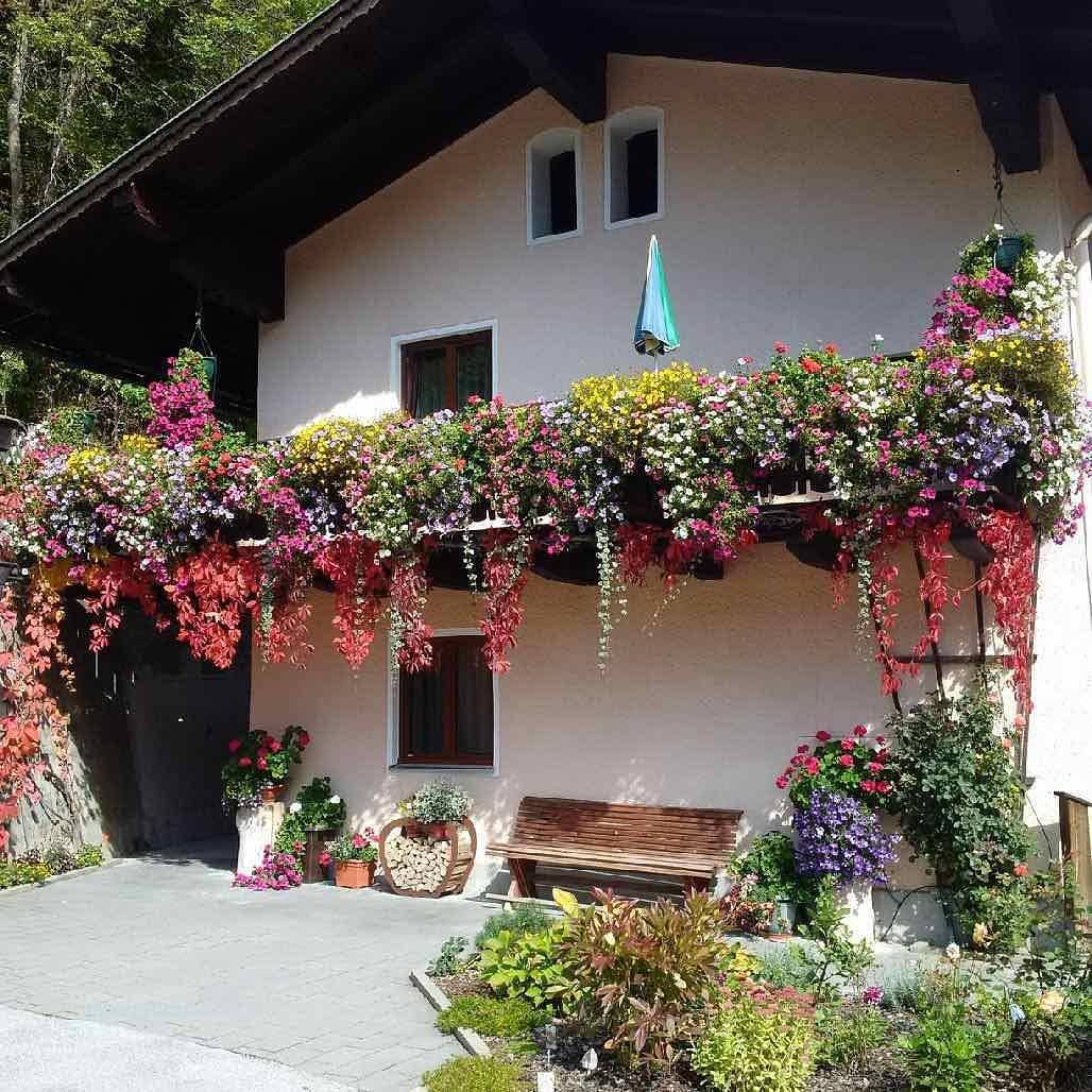 Ganze Ferienwohnung, Einzelzimmer mit fl. Wasser - Zimmer "Paussenberg" in Mühlbach am Hochkönig, Ski Amadé