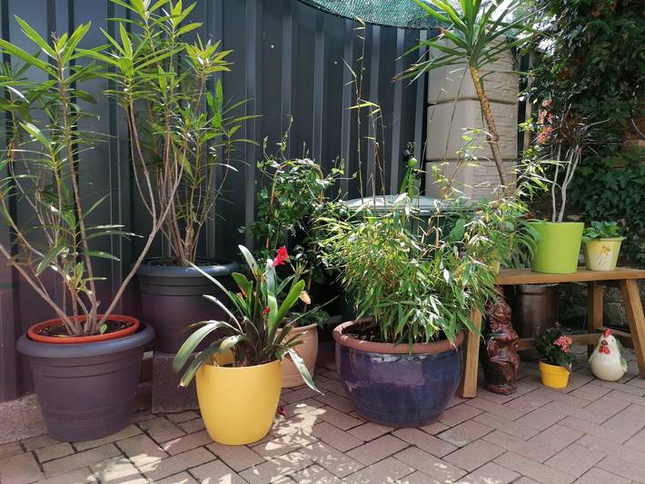 Gîte pour 2 personnes, avec balcon/terrasse à Eisenach - 2