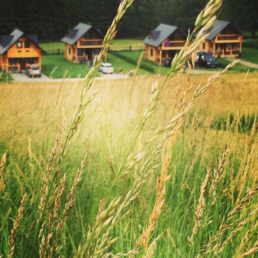 Chalet in Rabka-Zdrój, Karpaty (Polska)