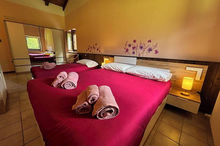 Location de vacances pour 12 personnes à Forni di Sopra - 3