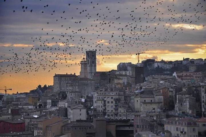 Appartement de vacances pour 4 personnes, avec terrasse à Grasse
