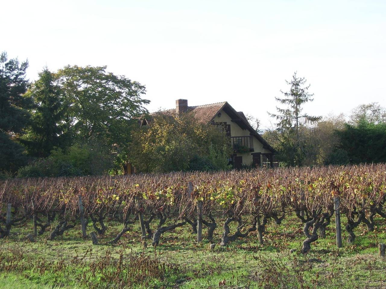 À proximité du Zoo de Beauval, au centre des Châteaux in Thésée, Région de Romorantin-Lanthenay
