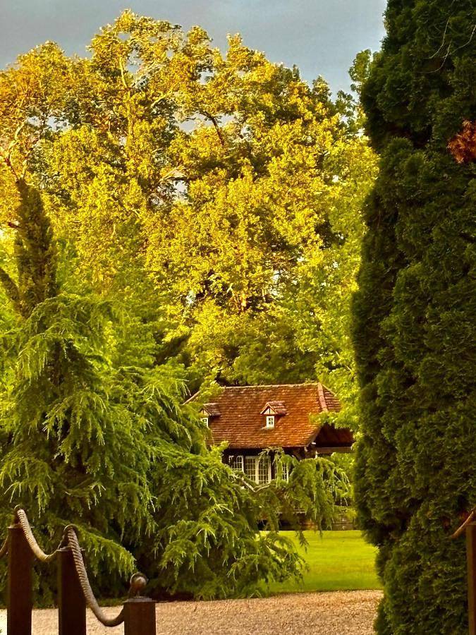 Location de vacances pour 2 personnes, avec jardin ainsi que piscine et vue à Cavagnac - 3