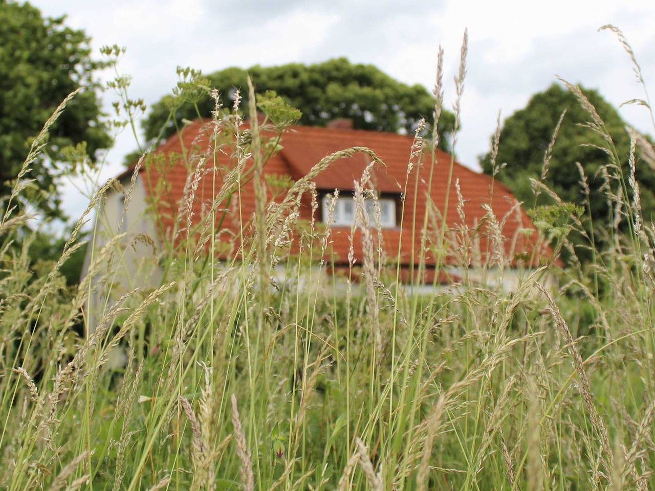 Ferienhaus Ratteyer Idyll in Schönbeck, Mecklenburg-Strelitz