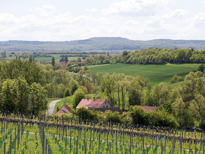 Ferienwohnung für 4 Personen, mit Garten in Iphofen - 4