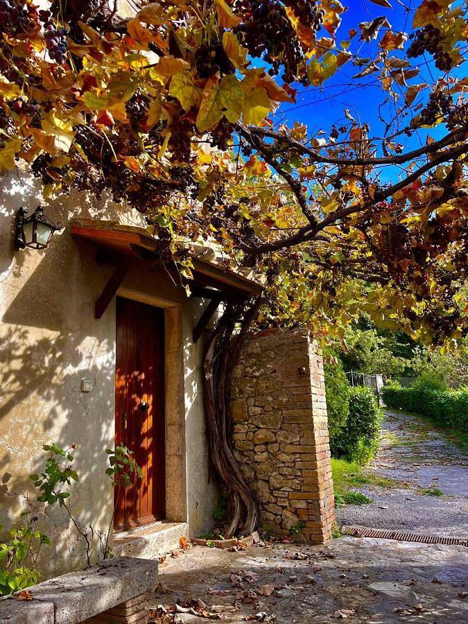 Agriturismo per 6 persone, con giardino, con animali domestici in Semproniano