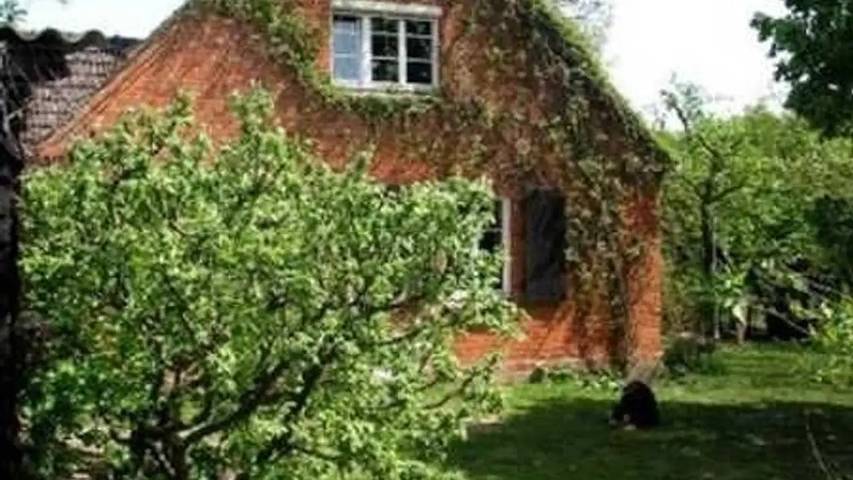 Ferienwohnung für 5 Personen, mit Garten in Mecklenburg-Strelitz