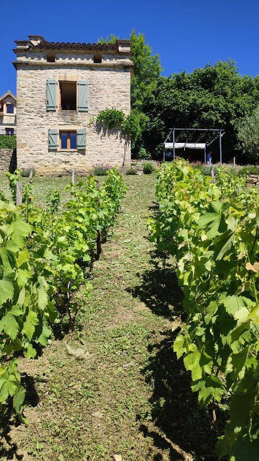 Location de vacances pour 2 personnes, avec vue et jardin à Caylus - 4