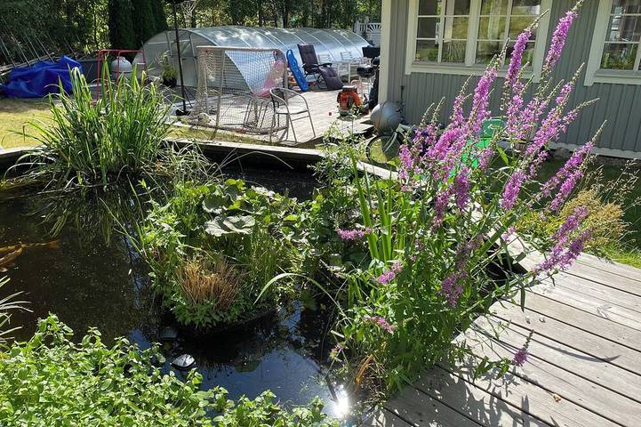 Ferienhaus für 8 Personen, mit Haustier - 1