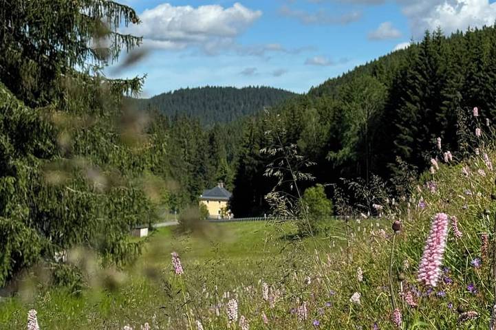 Chalet für 13 Personen, mit Terrasse und Garten