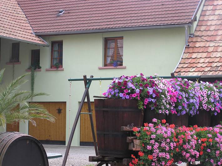 Gîte pour 3 personnes, avec jardin dans Ostheim