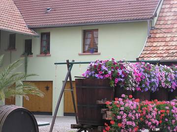 Gîte pour 3 personnes, avec jardin en Alsace