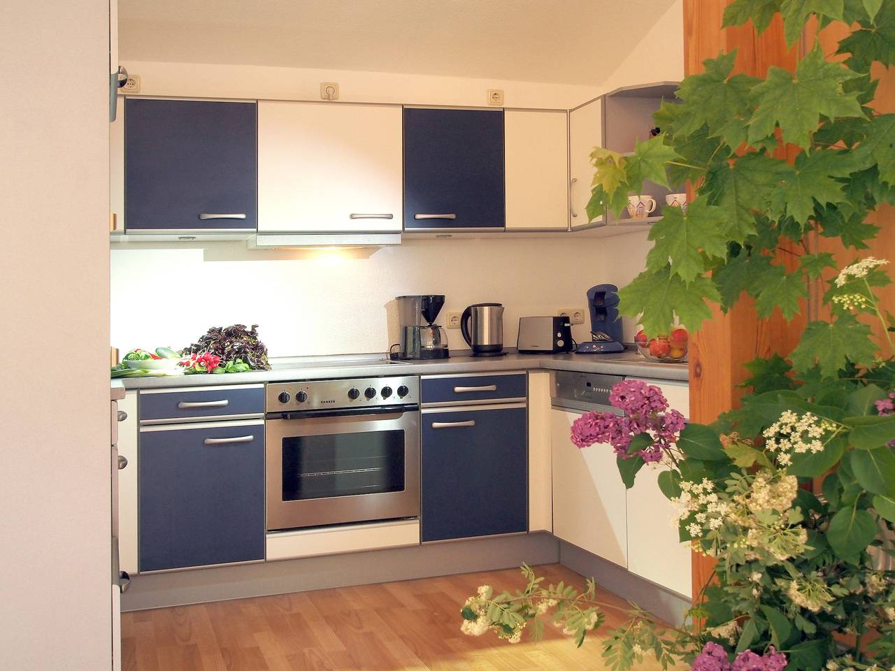Ganze Ferienwohnung, Ferienwohnung Kiefer in Dümmer (Mecklenburg-Vorpommern), Ludwigslust-Parchim