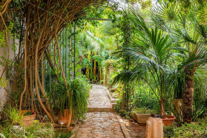 Finca für 6 Personen, mit Garten auf Mallorca Süden - 2