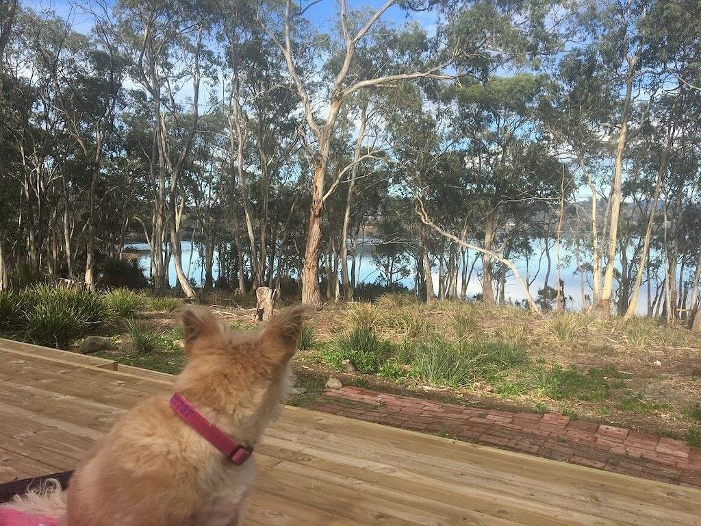Winter Special, prüfen Sie die Verfügbarkeit und planen Sie eine Flucht nach Bruny mit einem gemütlichen Holzfeuer in Tasmanien