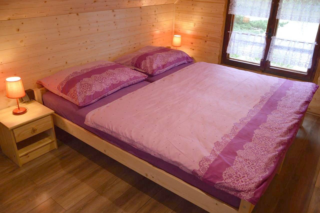 Double or Twin Room with Lake View in Libín, Région de Budweis