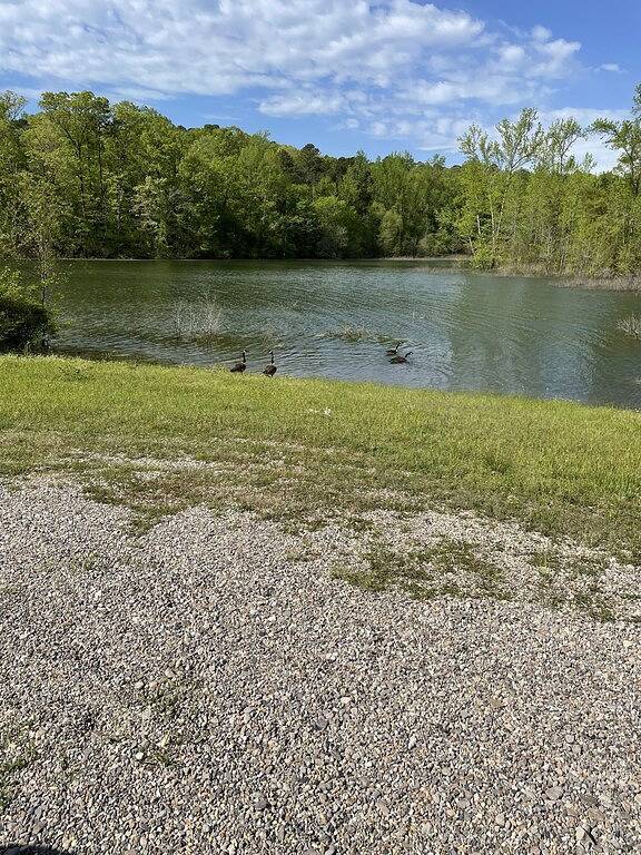 “Ruhiges Landhaus in der Nähe des Nordendes des Ouachita-Sees.” in Lake Ouachita