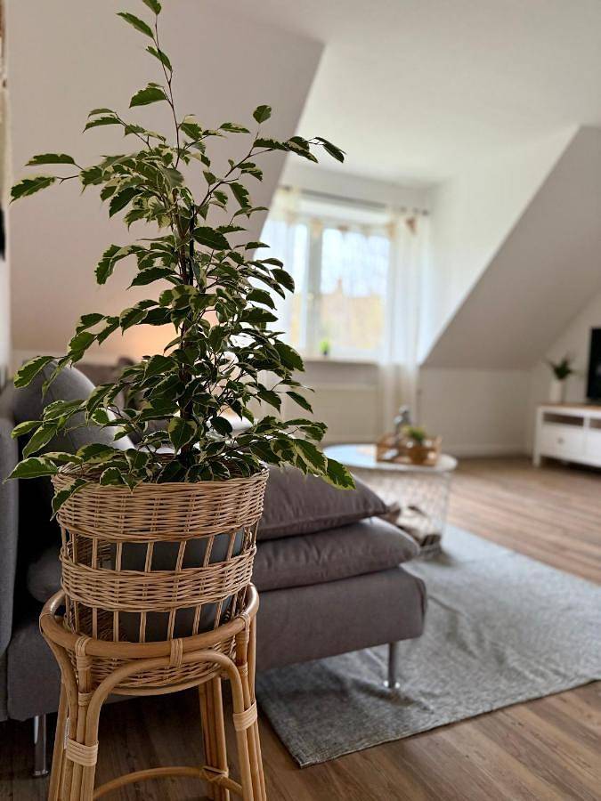 Ferienwohnung für 4 Personen, mit Terrasse und Garten in Hennstedt - 4