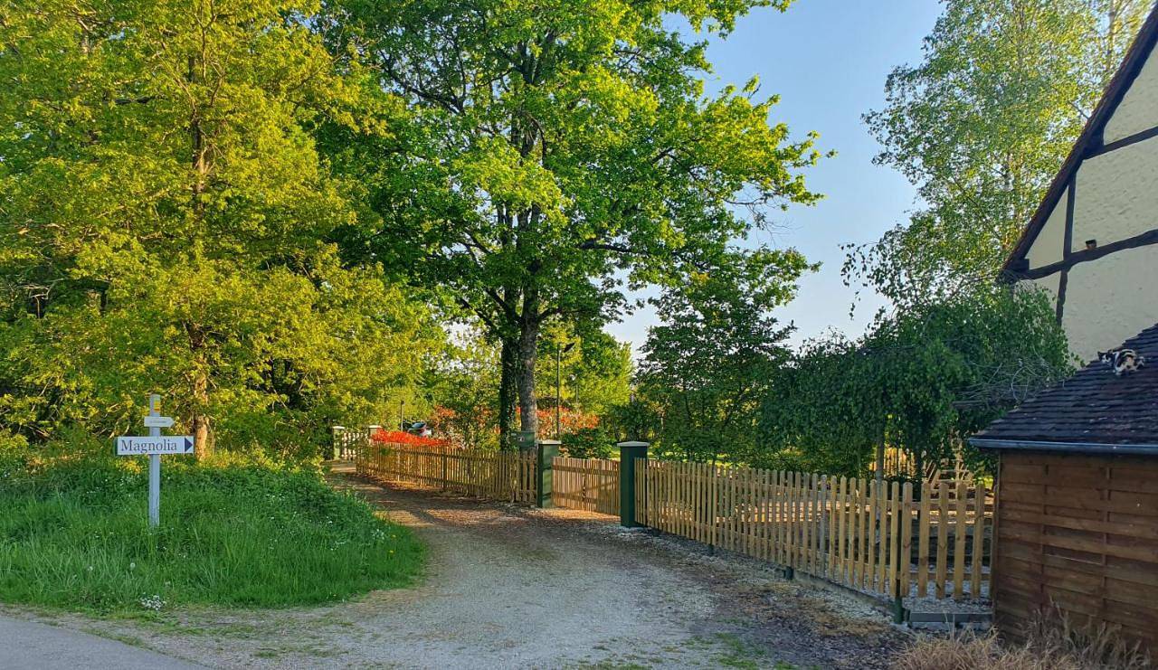 Magnolia54 in Louesme, Champignelles (Yonne)
