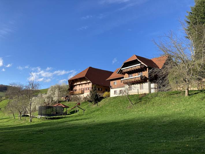Apartament wakacyjny dla 5 osób, z Ogród w Oberrhein