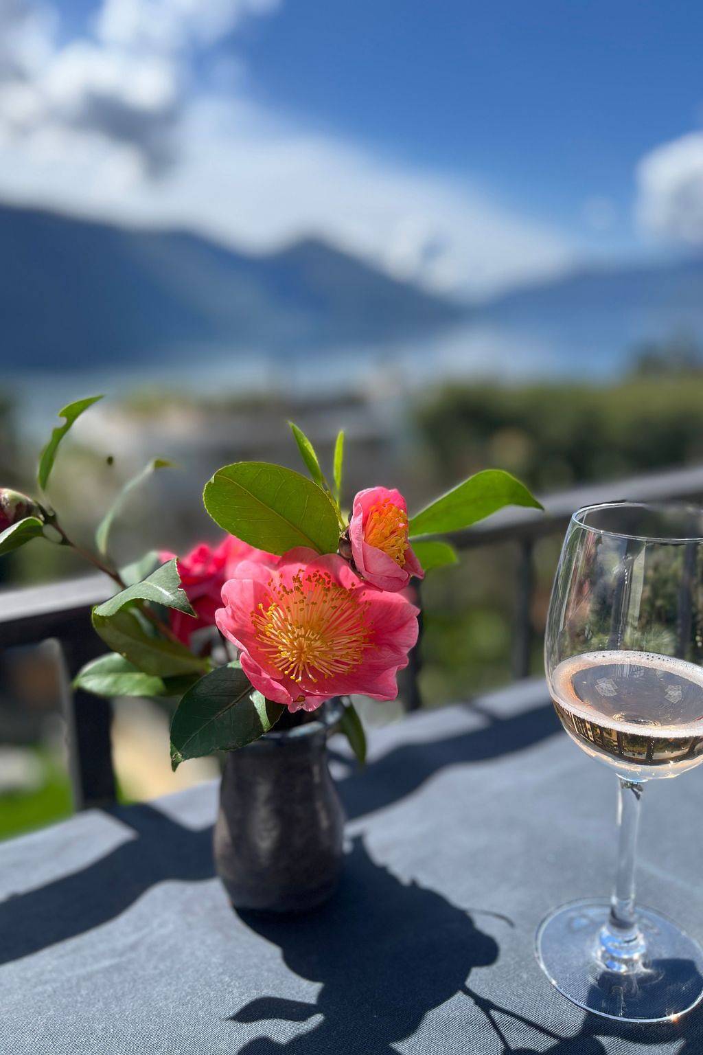 Appartement entier, Casa Rena in Ascona, Alpes tessinoises