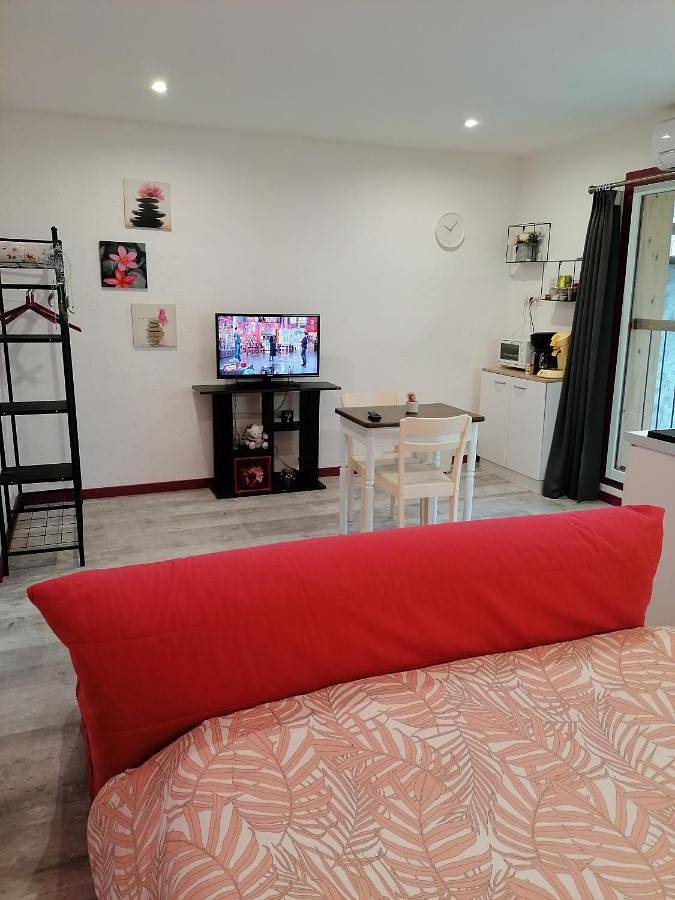 Appartement de vacances pour 2 personnes, avec vue dans l' Ariège - 3