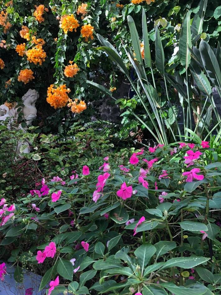 Gîte pour 3 personnes, avec terrasse ainsi que jardin et vue à Velas - 4