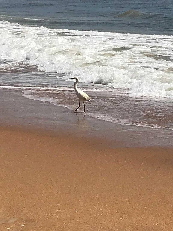 Vacation rental for 6 people, with balcony and pool in Ormond Beach