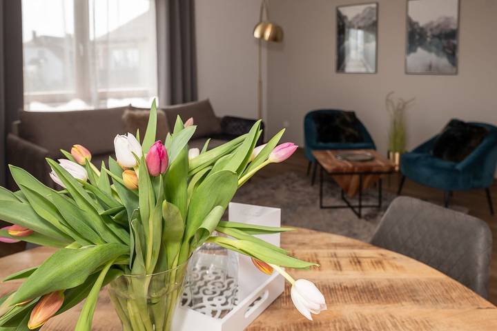Ganze Wohnung, Ferienwohnung Holiday Home 10 in Meersburg, Region Bodensee-Oberschwaben